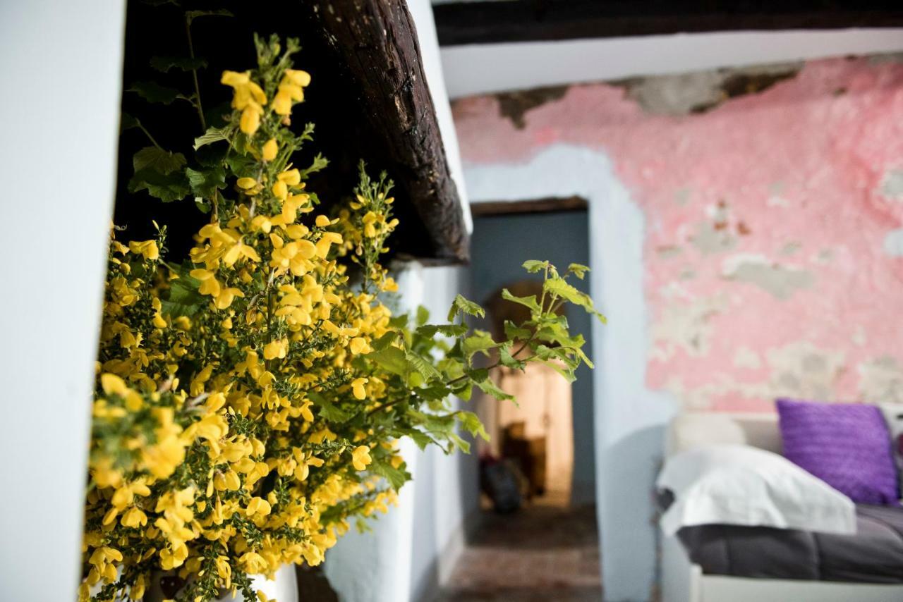 Giamevi House Apartment Vignanello ภายนอก รูปภาพ